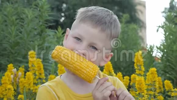 男孩在吃玉米芯孩子穿着黄色T恤背景是黄色的花有食欲的零食视频的预览图