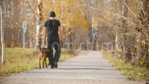一名男子训练员和他的德国牧羊犬在公园里散步视频的预览图
