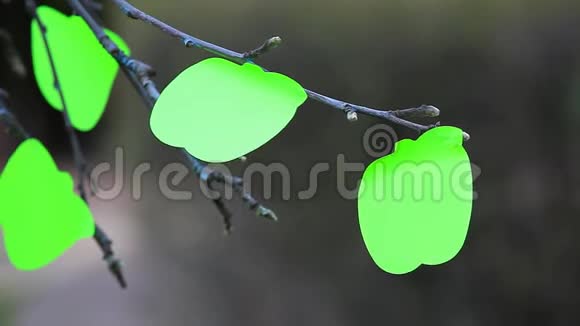 苹果树纸绿贴纸无人春高清镜头视频的预览图