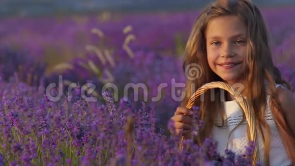 一个美丽的小女孩在田野里嗅着薰衣草的肖像视频的预览图
