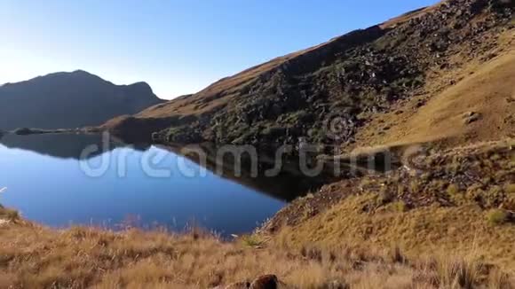 玻利维亚安第斯山脉中的高山湖金草视频的预览图
