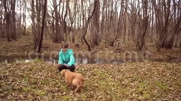 租房女孩是秋天森林里的宠物狗动作缓慢视频的预览图
