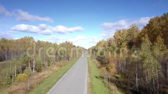 不错的鸟瞰黄色桦木和远处的汽车在路上视频的预览图