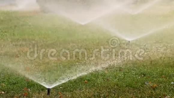 花园洒水器在夏天灌溉公园里的草自动灌溉系统视频的预览图