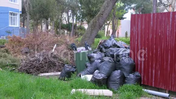 私宅围墙附近的黑色垃圾袋和一个翻倒垃圾桶视频的预览图