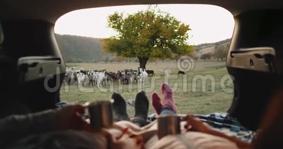 惊人的捕捉视频山羊群和夫妇穿着舒适的袜子喝茶和浪漫视频的预览图