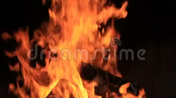 关闭篝火的火焰视频的预览图