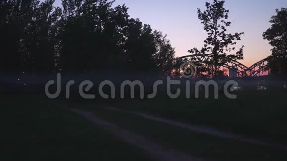 拉脱维亚里加一个城市公园里弥漫着朦胧的黄昏薄雾背景是粉红色和紫色令人恐怖视频的预览图