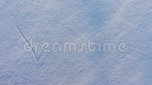 冬天这个词出现在雪地上视频的预览图