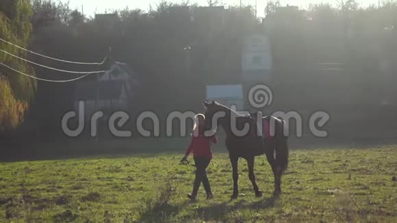 马女带着一匹棕色的种马穿过草地慢动作视频的预览图
