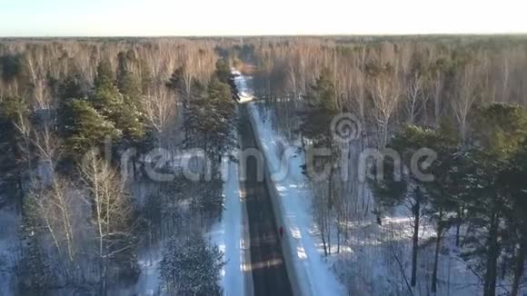 在冬季森林中与跑步者在公路上方进行空中运动视频的预览图