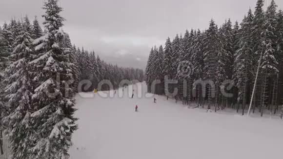 滑雪板和滑雪板沿着布科维尔的两座松墙滑行而下视频的预览图
