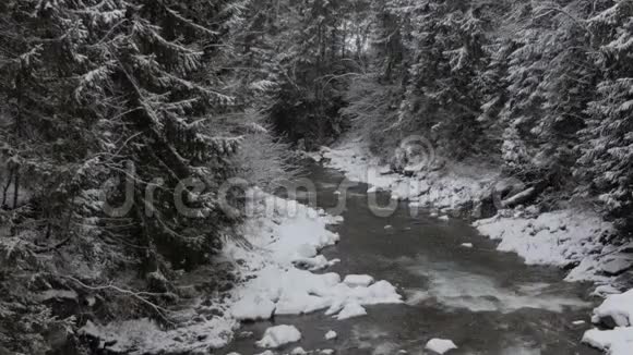 冬季喀尔巴阡山脉高刺中的蛇形溪流视频的预览图