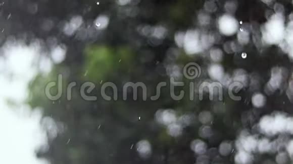 抽象背景绿色树叶背景上的雨视频的预览图