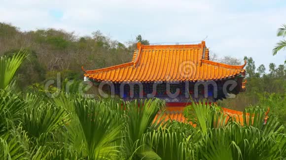 传统建筑环绕着棕榈树植物视频的预览图
