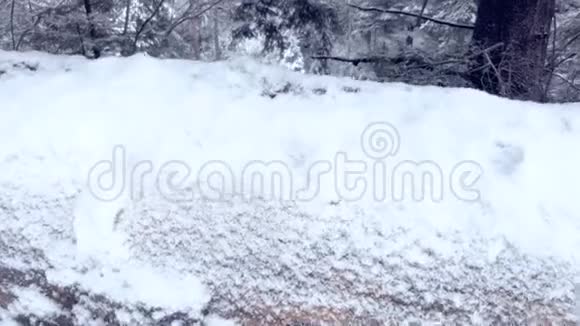 冬季喀尔巴阡山脉的乡村道路上看到的小路急流视频的预览图