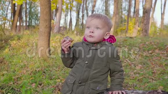 户外肖像可爱的幼儿男孩在秋天公园玩和吃饼干视频的预览图
