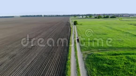 春天日落时分女人骑着一匹棕色的马在乡间的田野里飞驰年轻女子骑着海湾马鸟儿视频的预览图