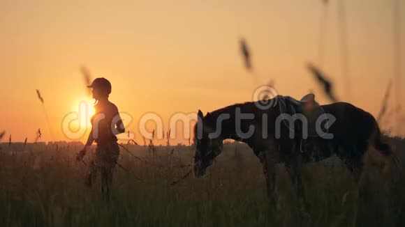 人与动物的爱情观念一个女人带着她的马穿过一片田野侧面视频的预览图
