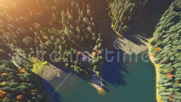 平静的湖泊由绿色和棕色的茂密森林组成视频的预览图