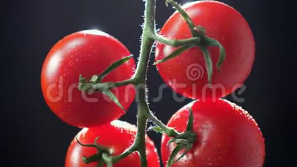 在黑色背景上快速顺时针旋转的红色番茄上部的特写视频的预览图