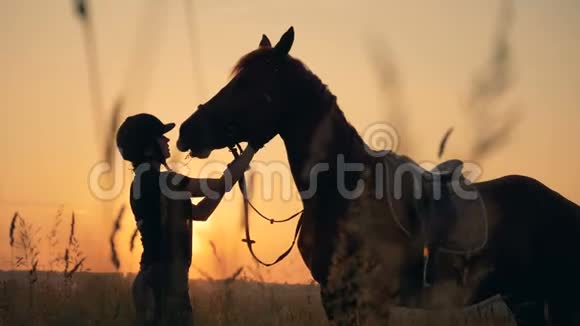 骑士检查一匹马在一个领域侧视人与动物的爱情观念视频的预览图