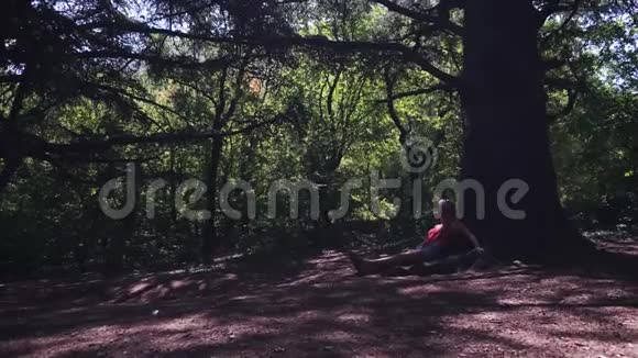 年轻女子坐在大树下休息视频的预览图