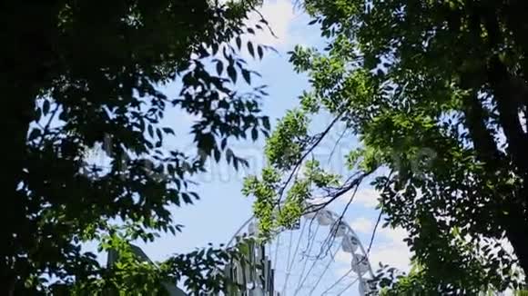 公园里的摩天轮视频的预览图