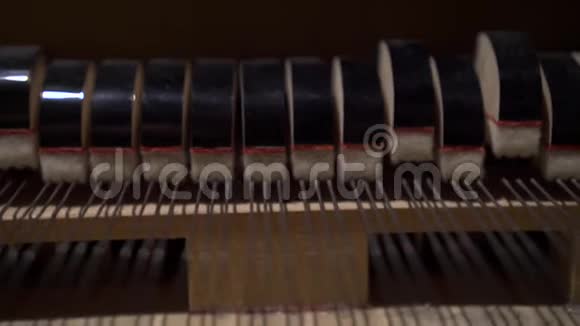 从里面用琴弦演奏的钢琴视频的预览图