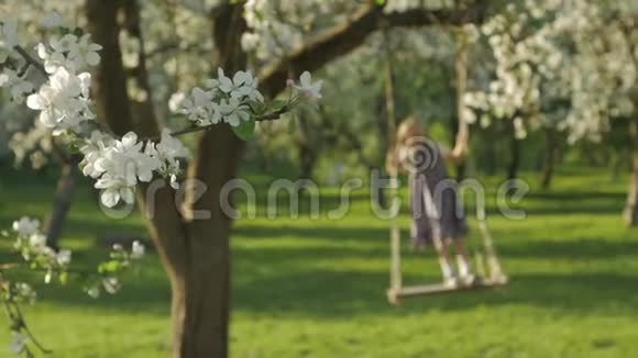 在一个开满鲜花的苹果树花园里不知名的小女孩在一个木制的秋千椅上摇曳享受着闲暇时光视频的预览图
