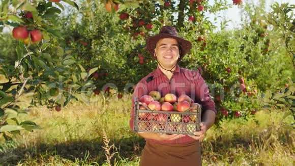 农民的画像用一盒苹果竖起大拇指展示他的肌肉视频的预览图