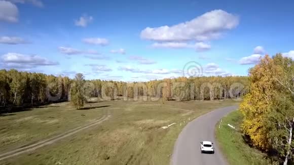空中汽车沿着公路行驶蜿蜒穿过桦木视频的预览图