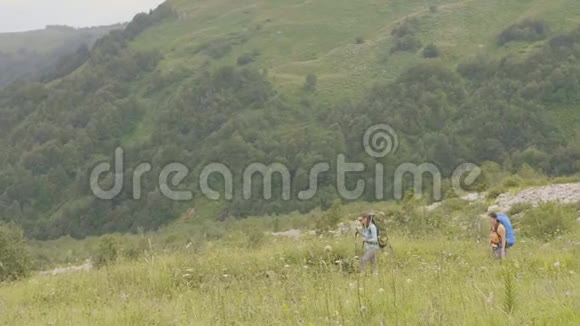 旅游妇女在绿色草地上的山路上行走视频的预览图