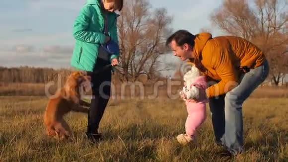 爸爸在一个秋天的公园里和孩子们和狗在草地上玩耍家庭把孩子介绍给狗视频的预览图