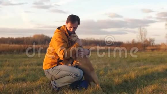 男人用手抚摸狗和她一起穿过田野一家人在秋天和一只狗在公园散步视频的预览图