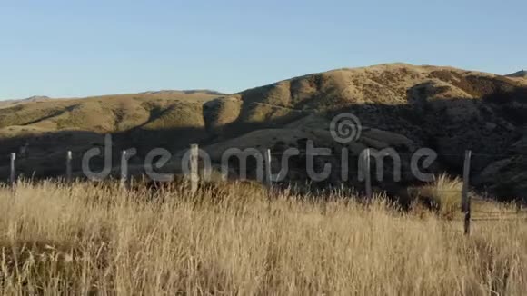 新西兰羊场铁丝网向前推进4k视频的预览图