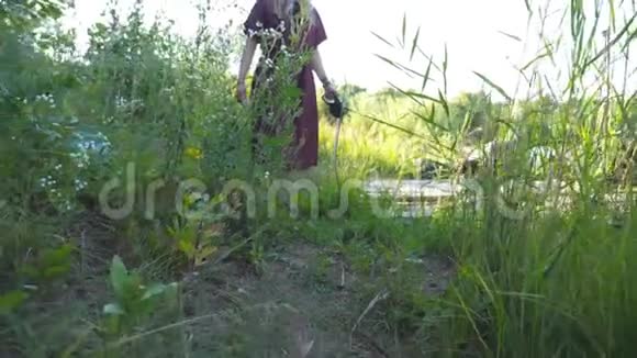靠近西伯利亚哈士奇狗拉着皮带走在河边的小径小女孩沿着小路走着视频的预览图