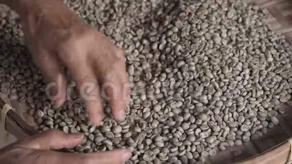 一位老妇人在阿拉伯咖啡豆的分类质量控制和选择上的手视频的预览图