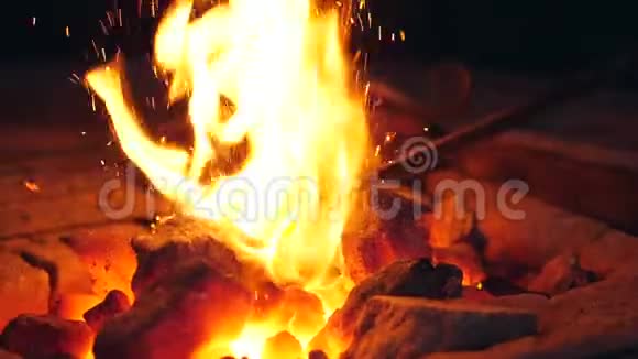 拉布拉多拖着燃烧的煤缓慢移动视频的预览图