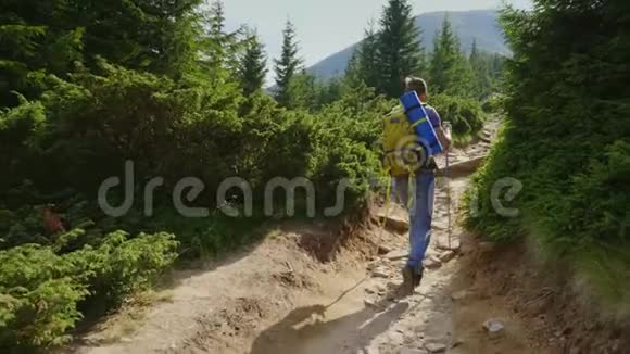 一个年轻人爬上山路到一座高山动画的地方群山覆盖森林背面视频的预览图