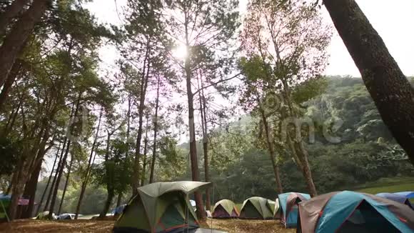 在泰国彭恩格梅红子彭恩格松林公园的松林下露营露营和帐篷视频的预览图