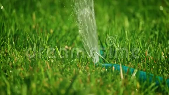 给草浇水后院DIY浇水系统视频的预览图