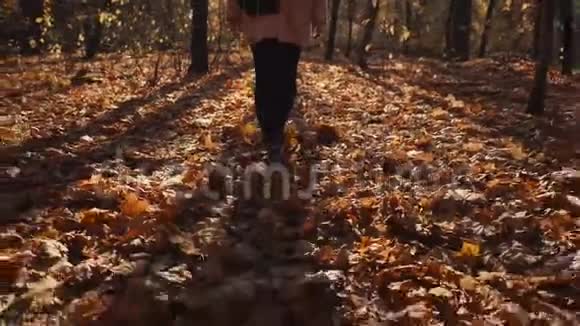 阳光明媚的秋天独自一个黑发女人在森林里散步视频的预览图