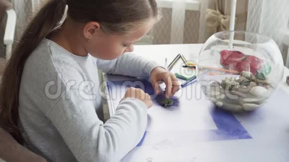 小女孩在家里的桌子上玩海龟视频的预览图