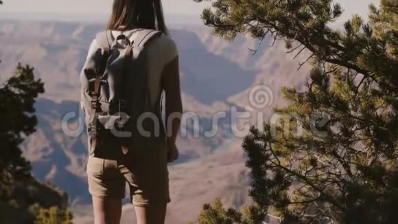 后景快乐年轻的旅游女性在美国亚利桑那州史诗般的大峡谷山景中拍摄智能手机照片视频的预览图