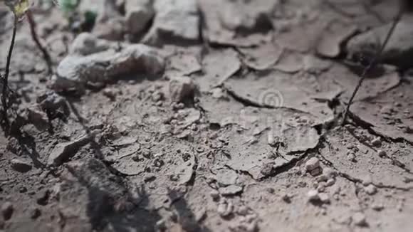 干燥的岩石地面超大的电影般的很好的裂缝视频的预览图