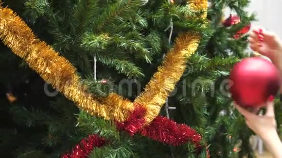 圣诞树枝上挂着装饰性玩具球的女孩视频的预览图