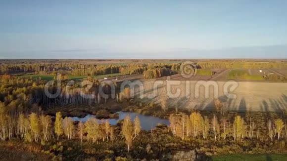 秋日白桦林路湖之间的田园视频的预览图