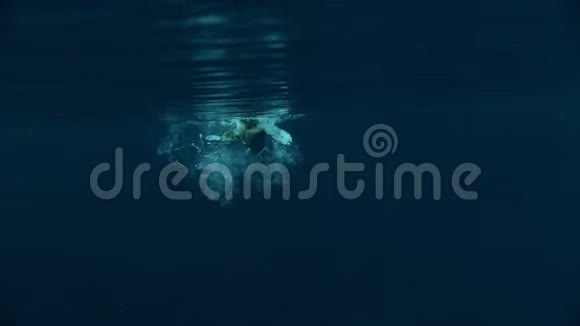 运动员在水下游泳产生许多泡泡水是蓝色的视频的预览图