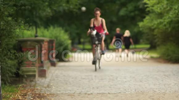 狗和他的情妇一起骑在自行车篮子里夏天在公园散步最喜欢的宠物黑白混血儿视频的预览图